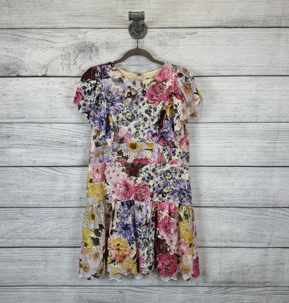 Express Women's Colorful Eyelet Lace Spring Ruffle Floral Dress Size Large
